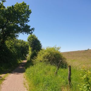 Sommerschnipsel