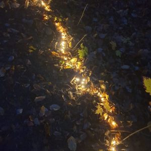 Novemberschnipsel