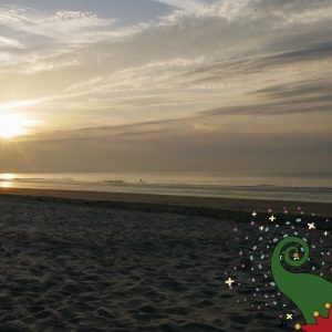 Friedas kleine Weihnachtswunder